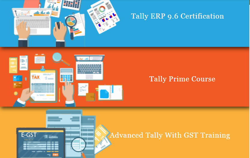Tally Program, Preet Vihar, Mayur Vihar, Delhi Sla Accounting Classes, Gst, Sap Fico Training Institute, Free Demo Classes